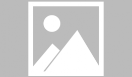 猫  动漫,猫界动漫之旅